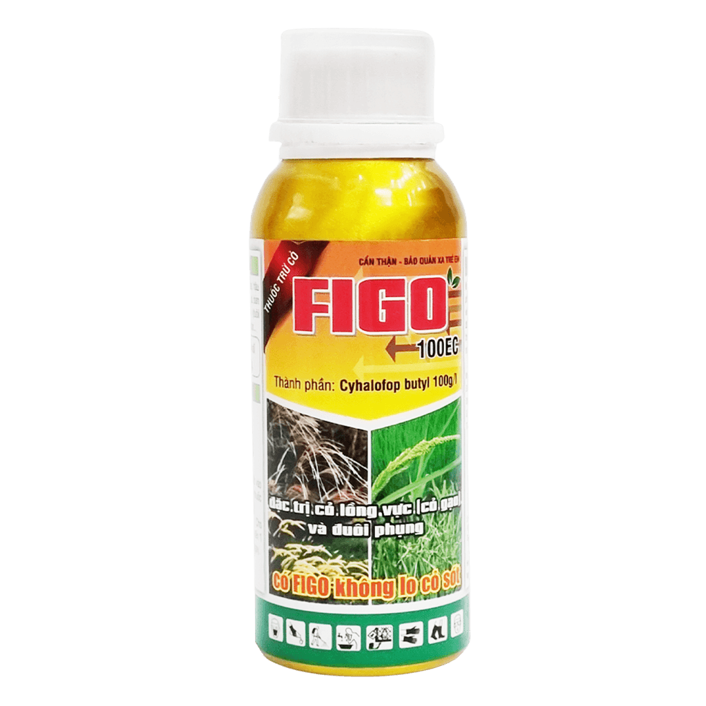 FIGO 100EC - Thuốc trừ cỏ đuôi phụng triệt để