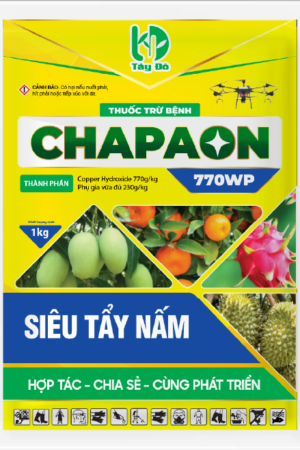 CHAPAON 770WP