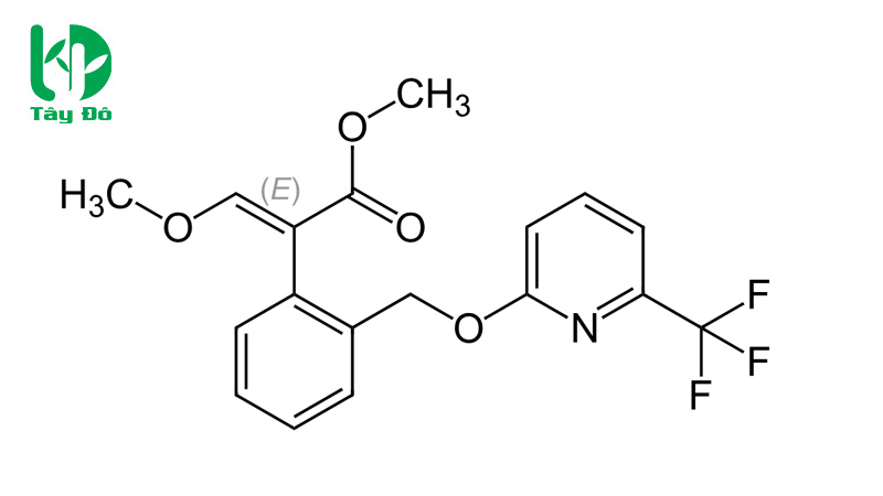 hoạt chất picoxystrobin