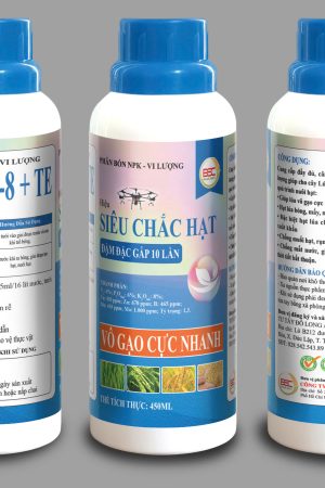 BSC SIÊU CHẮC HẠT