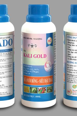 BSC KALI GOLD (KATADO)